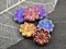 *6* 18mm Jet Rainbow Sliperit Daisy Flower Beads